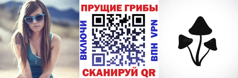 Галлюциногенные грибы мухоморы  Ярославль 